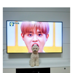 [워너원] ㅋㅋㅋㅋㅋㅋ 이 짤 웃겨<b>뒤질</b>것같에