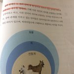 중 2 국어 <b>상하</b>관계 쉽게 알려주세요!ㅠㅠ