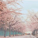 [드루와] 자사고 다니는 고1의 자사고 후기(궁금한 거 물어봐!)
