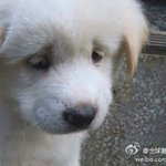 [댓글부탁해] 남친생일이랑 100일이랑 10일차이라서