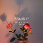 얘들아 아이폰7, 7+ 뭐가 나아??