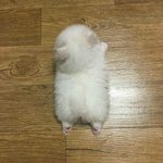 얘들아 <b>베플</b>로 올라간 댓글 삭제하면