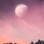 [BTOB] <b>피오</b>비 홍보글 쓸사람..?