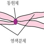 나 기억상<b>실증</b>일까