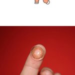 [댓글부탁해] 루이<b>샤인</b> 칵테일 스위트 껴본사람 ㅠㅠ