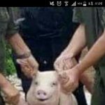 [댓글부탁해] <b>BL</b> 웹툰 추천 좀