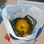 올리브0 알<b>바중</b>에 손님에게 받은 선물..(+ 추가)