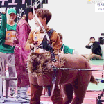 [드루와] 아이돌 <b>간지</b> 작살나는 짤