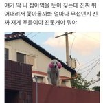 [댓글부탁해] 야 제모제로 <b>양치</b>함ㅅㅂ