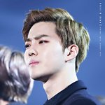 [EXO] 니네 일캐 하는 거 아무도 모를 듯