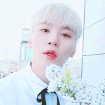 [세븐틴] 부승관 앓는 글.