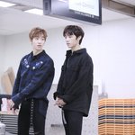 닥마 <b>워커</b> 예쁘다ㅠㅠ