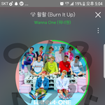 [워너원] 윙깅이 클/린 <b>합성</b>