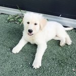 [댓글부탁] <b>보육</b>교사입니다. 아이 키우시는 가정주부님들께 궁금한게...