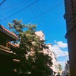 애들아 고양이<b>사료</b> 다이소에