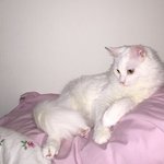 우리반만 <b>단합</b> ㅈㄴ 안되냐..