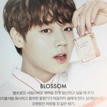 <b>DNA</b> 듣다보면 시간 순삭이던데