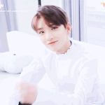 [세븐틴] ㅅㄷ <b>캐럿</b>들 시그 누구꺼 샀어? ㅜㅜ