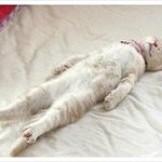 [드루와] 다들 한번씩 <b>이생각</b> 해보지않았냐