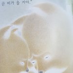 요즘 <b>동화책</b> 웃겨죽음 ㅋㅋㅋ