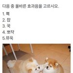 <b>여태</b>공부했다
