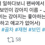 [골든차일드] 금둥이들 <b>반려견</b>