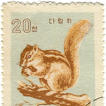 세계 <b>여러나라</b> 우표 모음