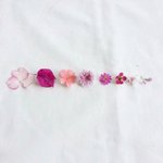 [미안해] <b>연두</b>야 행복해야해