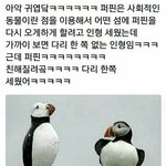 [드루와] 이성에게 인기많은 애들 특징이 뭐 같아?