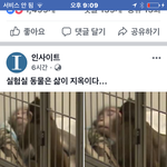 [댓글부탁해] 진짜 너무 안타까워