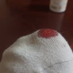 [EXO] 야 나무서워