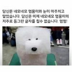 [댓글부탁해] 수학여행 <b>꿀</b><b>팁</b> 좀