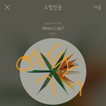 [EXO] 뜬금없게 갑자기 엑소뽕이 차오른다