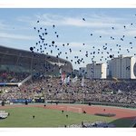 가을축제, 평화축제 그 감동의 현장 속으로!