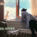 아이유 쓰담쓰담에 미소짓는 모카