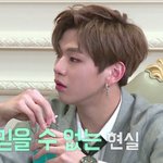 [강다니엘] 워/너/시/티 <b>선</b>공개 봤오?
