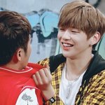 [강다니엘] 멍뭉 녤 <b>vs</b> 늑댕 녤) 일정의견내줘~