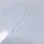 ㅅㅂ 나 <b>탈모</b>인가봄