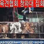 [참여] 육견협회 집회를 취소해달라는 <b>민원</b>을 부탁드립니다.