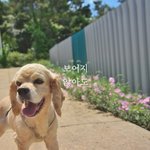 보이지 않아도 희망을 잃지 않을 코순이가 되도록...