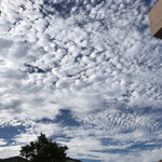 국제위러브유운동<b>본부</b>(회장 장길자/iwf) "함께 하는 행복파트너"