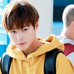 [<b>박지훈</b>] 병아리 윙깅이