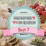 <b>추석</b>에 먹어야할 가을제철음식 순위!!