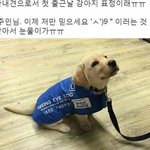 [댓글부탁해] 키160<b>이하</b>vs이상 추반