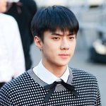 [세훈] 170920 소리바다 시상식 <b>레드카</b>펫 고화질3