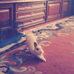 [댓글부탁해] 맨날 내머리 따라하는애 있음ㅋㅋㅋㅋ