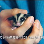 [방탄소년단] 석<b>진이</b>가 예쁜말 하는데 끊음ㅋㅎ