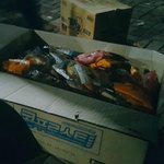 [EXO] 아미 <b>역조공</b>