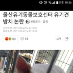 <b>울산</b> 십리대밭 유기견