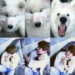 [강다니엘] 이 정도면 증명사진 <b>수준</b>인데..